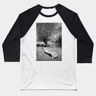 Willows Baseball T-Shirt